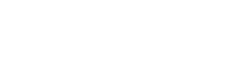 Avalon Labs