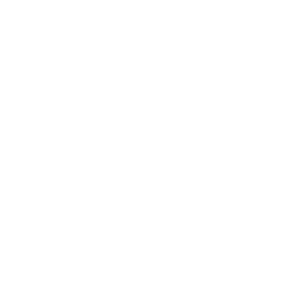 BTC Inc
